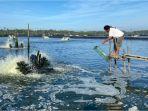 Program-Electrifying-Marine-PLN-Bertambah-2169-Pelanggan.jpg