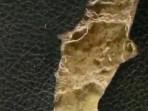 RANJANG-belatung-di-aceh.jpg