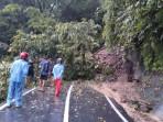 Tanah-longsor-menutup-jalan-utama-penghubung-antara-Kecamatan-Cibinong-Sindangbarang-Cianjur.jpg