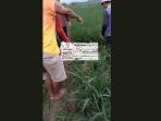 Tangkapan-layar-video-viral-petani-di-Indramayu-tewas-kesetrum.jpg
