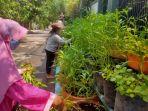 URBAN-FARMING-CIREBON.jpg