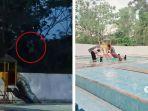 Viral-Ibu-ibu-Tak-Sengaja-Rekam-Penampakan-Mirip-Kuntilanak-di-Atas-Pohon.jpg