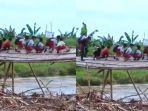 Viral-Siswa-SD-Seberangi-Jembatan-Miring-Reyot-Demi-Ke-Sekolah.jpg