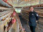 Wabup-Karawang-k-Peternakan-ayam.jpg