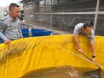 Warga-Binaan-berhasil-memanen-800-ekor-ikan-lele-cianjur.jpg