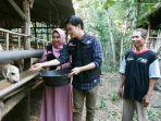 anisa-kambing.jpg