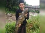banjir-bandang-ikan-jumbo.jpg