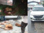 barang-bukti-pencurian-sapi-maluku-tengah.jpg