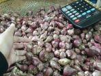 bawang-woi.jpg