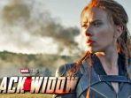 black-widow.jpg