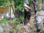 buaya-berbobot-700-kg-yang-sebelumnya-menyerang-warga.jpg