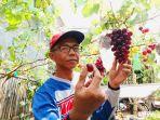 budidaya-Anggur-import-yang-bernama-Soreang-Grape-Garden.jpg