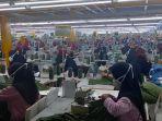 buruh-di-kecamatan-sumberjaya-majalengka.jpg