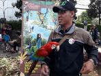 burung-macaw_20171015_120952.jpg