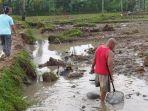 cari-ikan-sisa-banjir-bandang-sukabumi.jpg