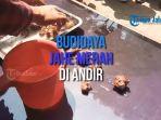 cov-budidaya-jahe-merah.jpg