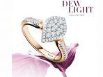 dew0107a.jpg