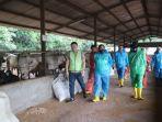 dinas-peternakan-dan-polres-subang-mengecek-kandang-sapi.jpg
