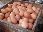 foto-telur-di-Pasar-Sindangkasih.jpg