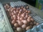 foto-telur-di-kbb.jpg