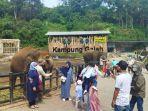 gajah-di-lembang-park-zoo-akan-disuntik.jpg
