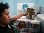 ganja-cianjur-1_20160219_075853.jpg