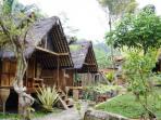 homestay2_20160429_134133.jpg