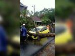 honda-jazz-tertimpa-pohon-tumbang.jpg