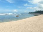 ilustrasi-pantai-pasir-putih-pangandaran.jpg