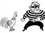 ilustrasi-pencuri-ayam_20180929_133258.jpg