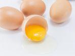 ilustrasi-telur.jpg