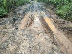 jalan-rusak-di-dusun-bantardawa.jpg