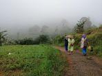 jalur-menuju-gunung-putri-di-kecamatan-cingambul.jpg
