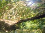 jembatan-gantung-anyaman-bambu-di-pangandaran.jpg