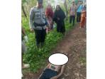 kakek-ocang-kalah-duel-dengan-king-kobra.jpg