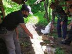 kambing-mati-misterius-kembali-ditemukan-di-kecamatan-cibingbin-kabupaten-kuningan.jpg