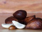 kandungan-buah-salak.jpg