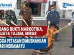 kejari-indramayu-musnahkan-barang-bukti-narkotika-senjata-tajam-miras-hingga-petasan.jpg