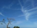 langit-dengan-cuaca-cerah-berawan_20180531_083847.jpg