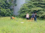 mayat-di-sebuah-ladang-yang.jpg