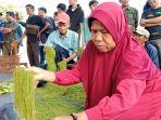 merajang-tembakau-Alun-alun-Sumedang.jpg