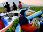 naik-perahu-lewati-eceng-gondok.jpg