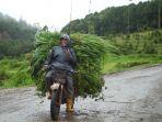 ojek-gunung-di-kertasari-dan-pangalengan-jajal-bukti-angkut-puluhan-karung-hasil-pertanian.jpg