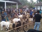pemeriksaan-kesehatan-hewan-di-ciamis_20180814_144851.jpg