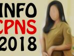 pendaftaran-cpns-2018-lewat-situs-sscn_20180910_215051.jpg