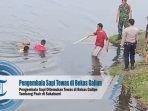 pengembala-sapi-ditemukan-tewas-di-bekas-galian-tambang-pasir-di-sukabumi.jpg