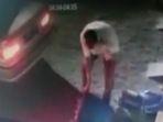pengemudi-mobil-mewah-curi-tong-sampah.jpg