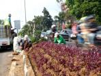 perbaikan-taman-di-kota-bandung_20160805_185436.jpg