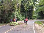 petugas-damkar-potong-batang-dan-ranting-pohon-yang-menjuntai-ke-jalan-di-ciletuh.jpg