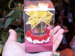 planlet-souvenir-ini-hanya-sebesar-genggaman-tangan_20180816_143720.jpg